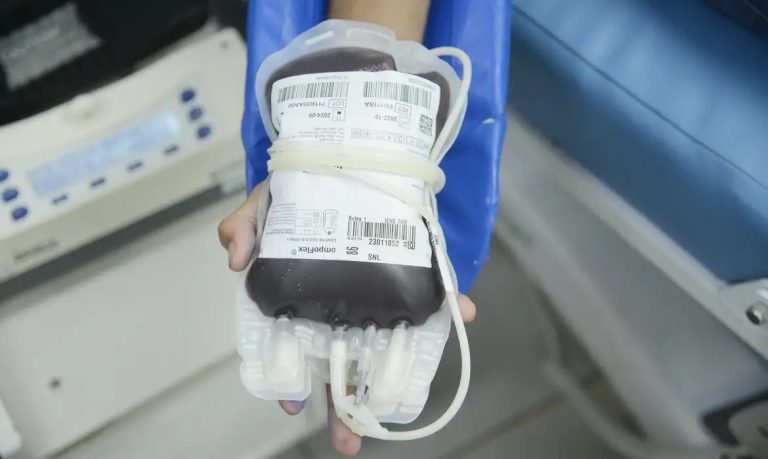 STF - transfusão de sangue