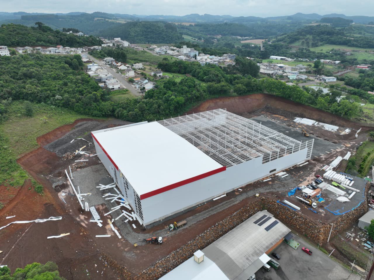 Videira