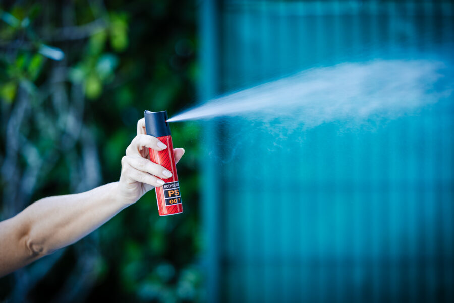 Alesc aprova projeto que autoriza spray de pimenta para mulheres sob medida protetiva