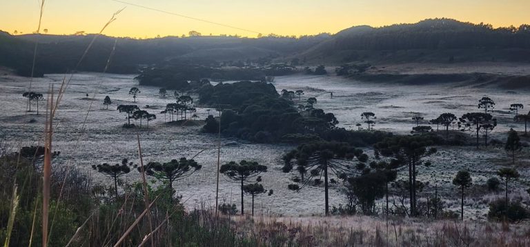 Frio intenso derruba temperaturas e SC registra a menor do país: -3,3°C