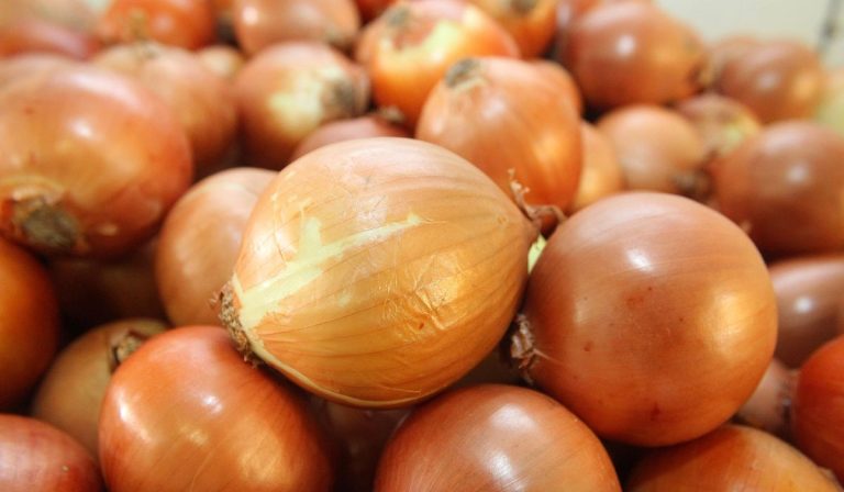 Governo de SC prorroga dívidas de produtores afetados pela crise da cebola