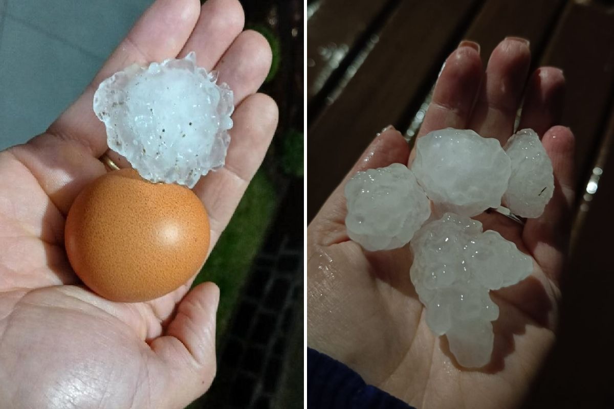 Granizo com pedras de até 6 cm causa danos e assusta moradores em Concórdia