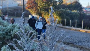 Serra Catarinense registra geada e temperaturas abaixo de zero nesta segunda-feira
