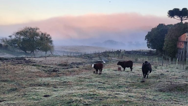 Santa Catarina 'acorda' congelada com termômetros marcando -4,6ºC
