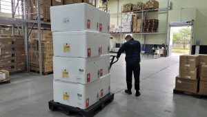 Santa Catarina recebe mais 304 mil doses de vacina contra a gripe
