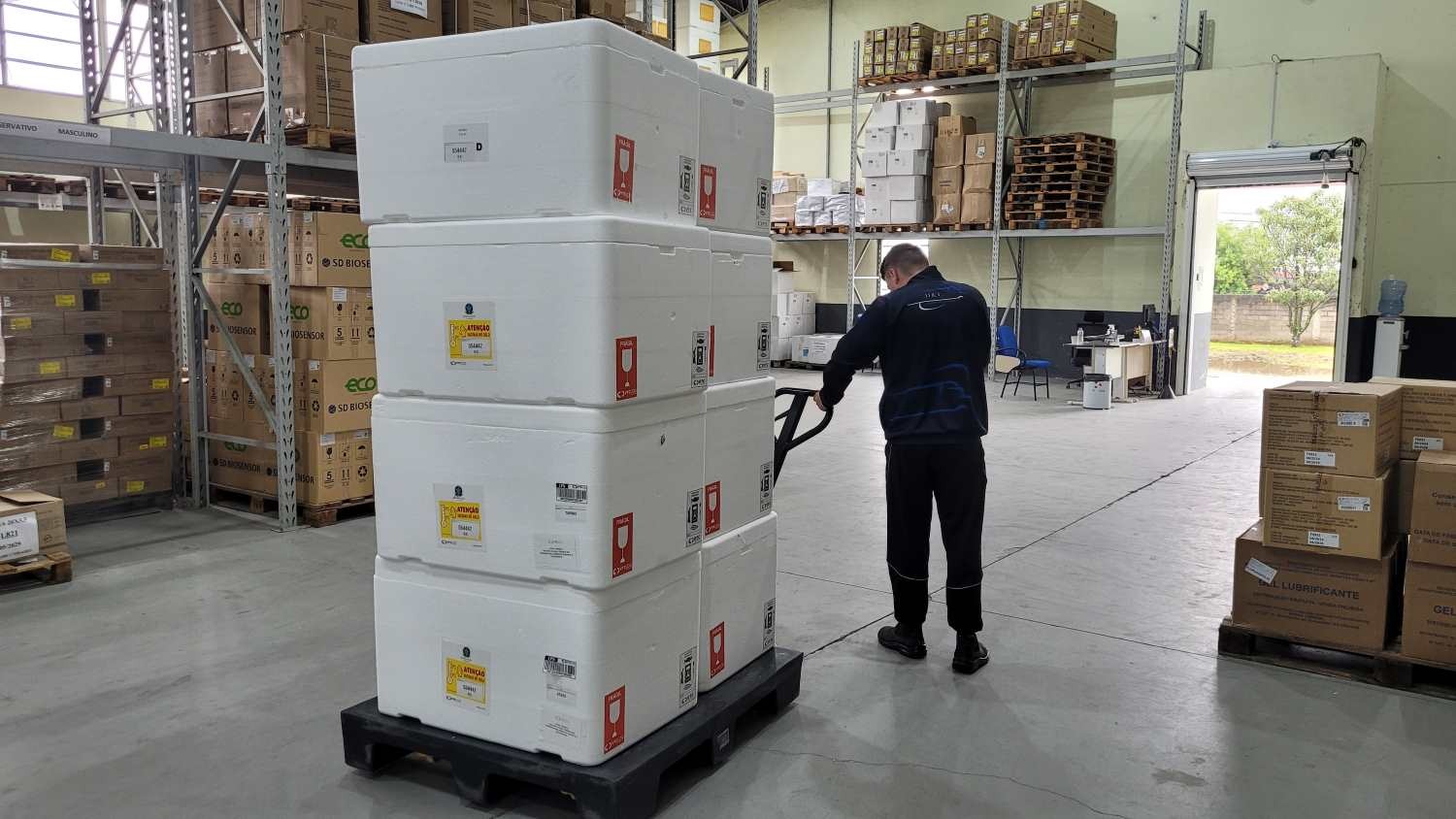 Santa Catarina recebe mais 304 mil doses de vacina contra a gripe