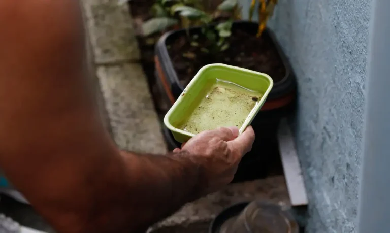El Niño pode aumentar casos de dengue a partir de 2027, alerta Ministério da Saúde