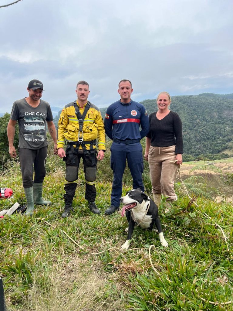 Bombeiros resgatam cachorro preso em encosta com risco de queda em SC