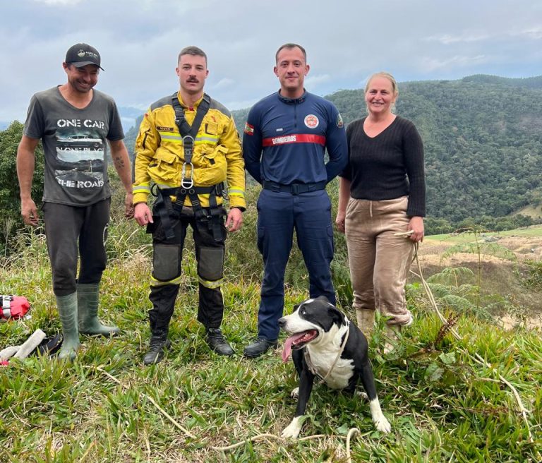 Bombeiros resgatam cachorro preso em encosta com risco de queda em SC