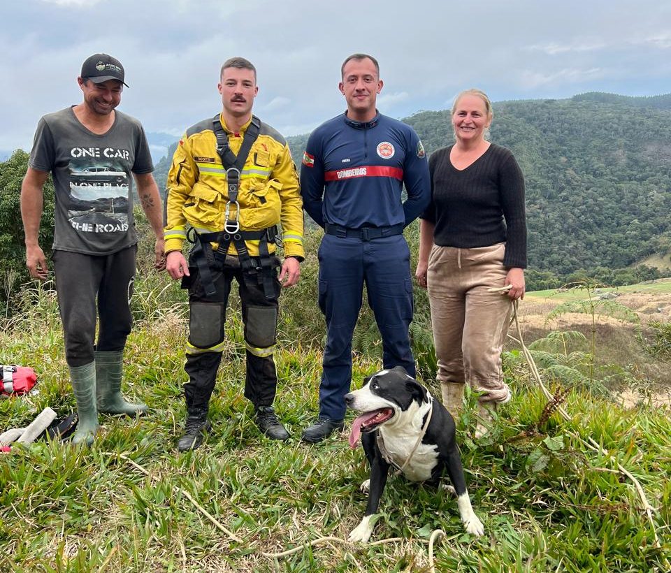 Bombeiros resgatam cachorro preso em encosta com risco de queda em SC