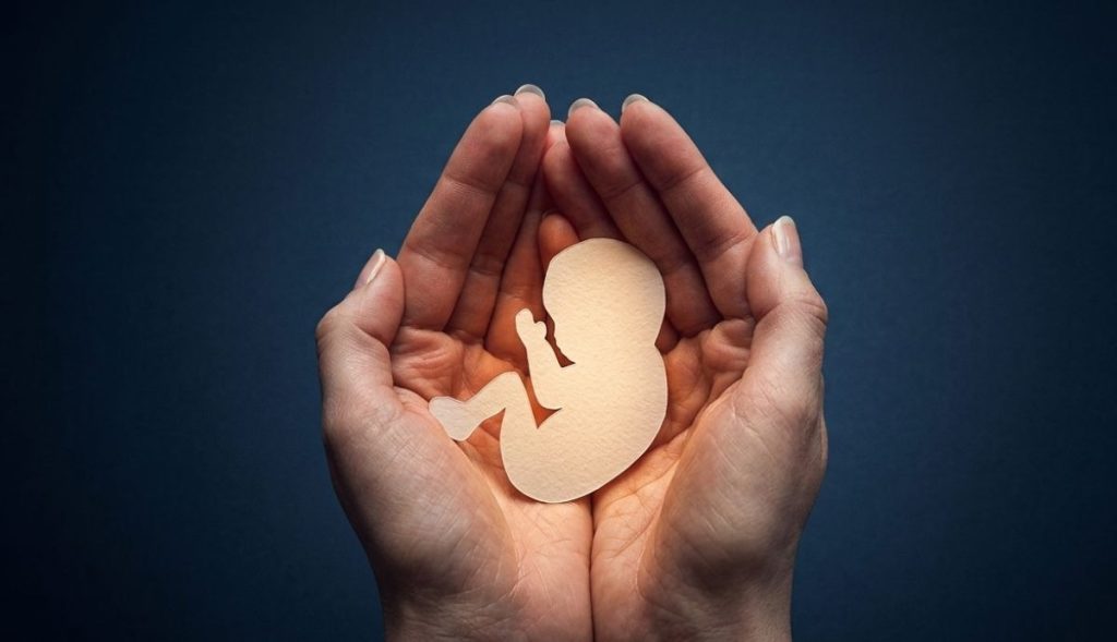 Justiça autoriza interrupção de gestação após diagnóstico de malformação fetal