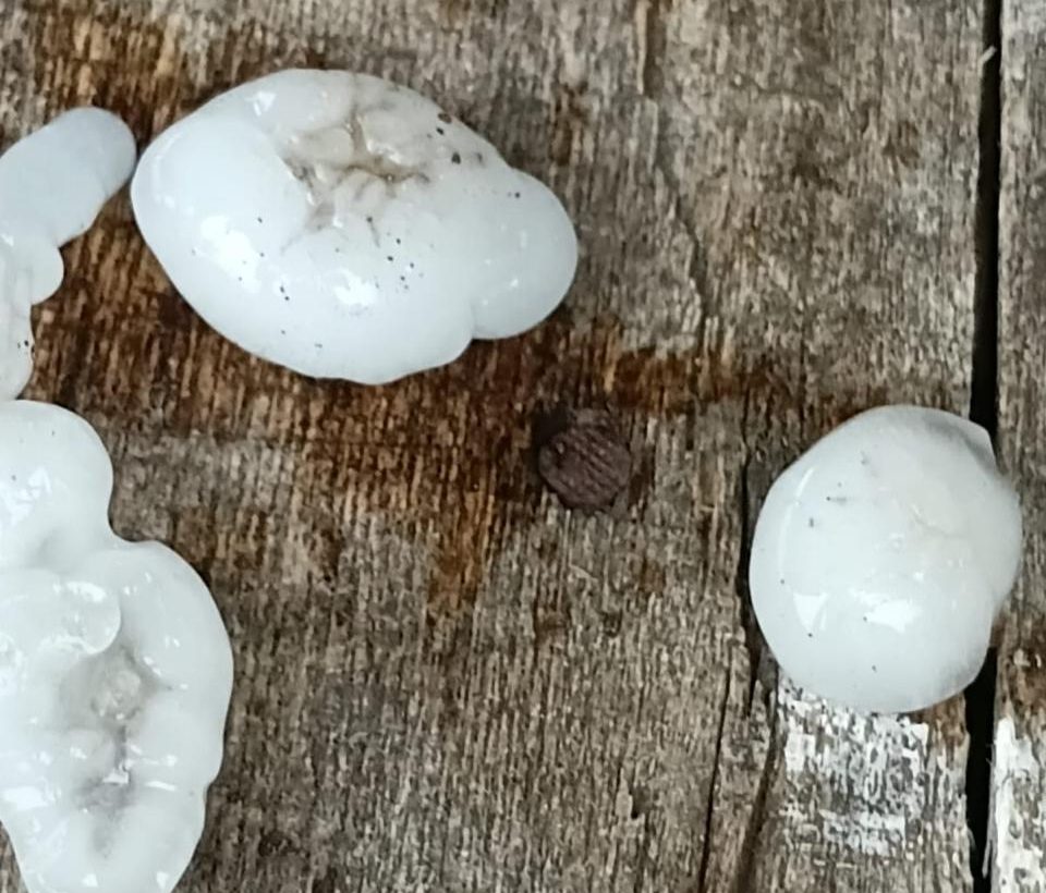 Granizo atinge Calmon e Matos Costa e provoca danos, informa Defesa Civil Regional