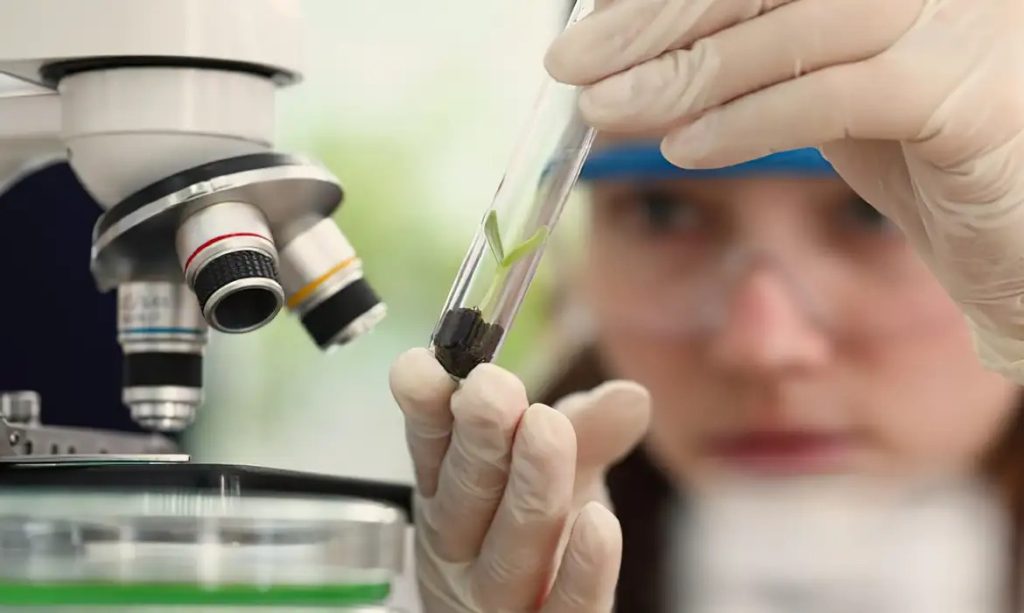 Prêmio vai reconhecer jovens cientistas e oferecer até R$ 13 mil para vencedoras