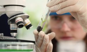 Prêmio vai reconhecer jovens cientistas e oferecer até R$ 13 mil para vencedoras