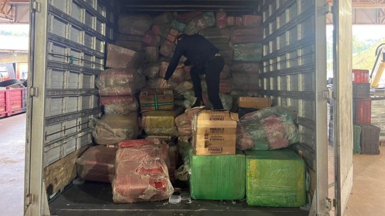 Caminhão com carga irregular avaliada em quase R$ 13 milhões é apreendido no Oeste de SC